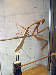 巨大カマキリ